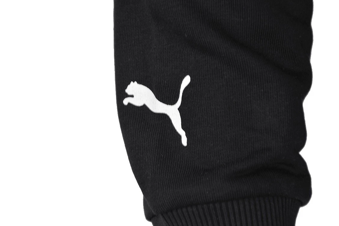 Formula 1 Logo Graphic Hoodie von Puma 2024