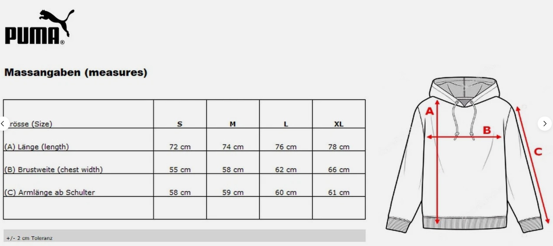 Formula 1 Graphic Hoodie Herren Kapuzen von Puma